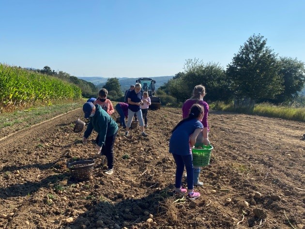 Die%20Klasse%20SB%203-4%20auf%20dem%20Kartoffelacker%20beim%20Ernten%20der%20Kartoffeln Die%20Klasse%20SB%203-4%20auf%20dem%20Kartoffelacker%20beim%20Ernten%20der%20Kartoffeln